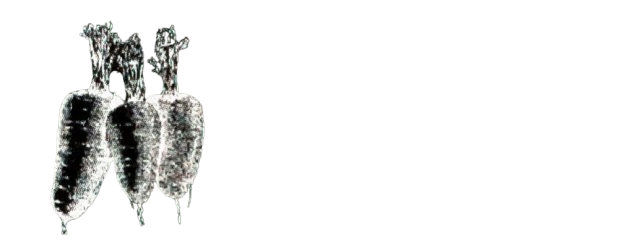 City Roots VT